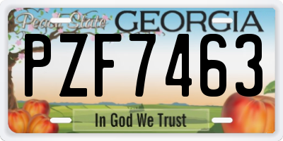GA license plate PZF7463
