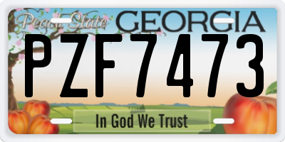 GA license plate PZF7473