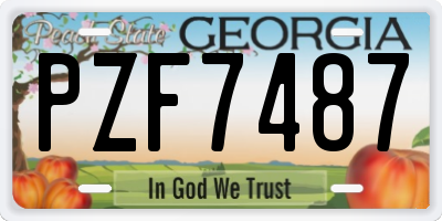 GA license plate PZF7487