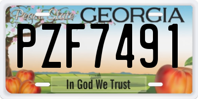 GA license plate PZF7491