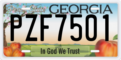 GA license plate PZF7501