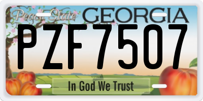 GA license plate PZF7507