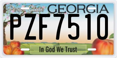 GA license plate PZF7510