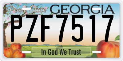 GA license plate PZF7517