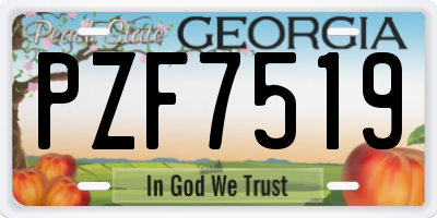 GA license plate PZF7519