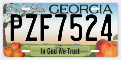 GA license plate PZF7524