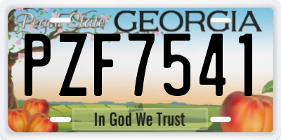 GA license plate PZF7541