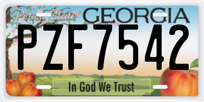 GA license plate PZF7542