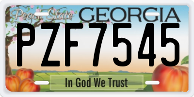 GA license plate PZF7545