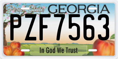 GA license plate PZF7563