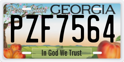 GA license plate PZF7564