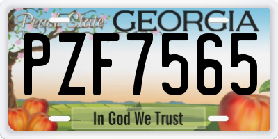 GA license plate PZF7565