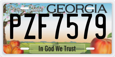 GA license plate PZF7579