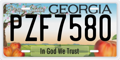 GA license plate PZF7580