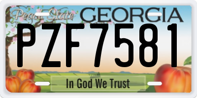 GA license plate PZF7581