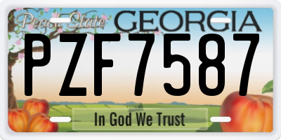 GA license plate PZF7587