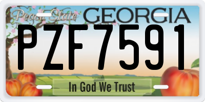GA license plate PZF7591