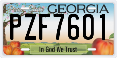 GA license plate PZF7601