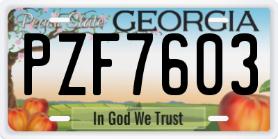 GA license plate PZF7603