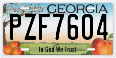 GA license plate PZF7604