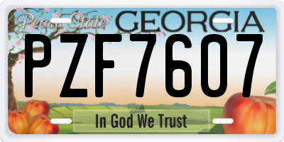 GA license plate PZF7607