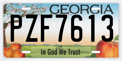 GA license plate PZF7613