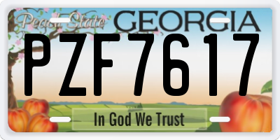 GA license plate PZF7617