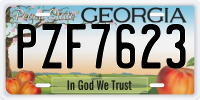GA license plate PZF7623