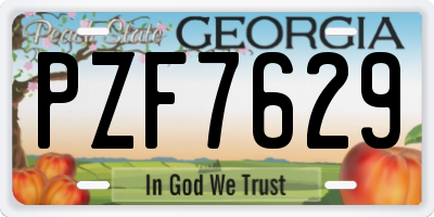 GA license plate PZF7629