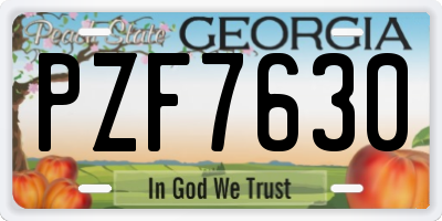 GA license plate PZF7630