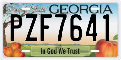 GA license plate PZF7641
