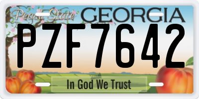 GA license plate PZF7642
