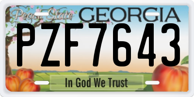 GA license plate PZF7643