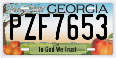 GA license plate PZF7653