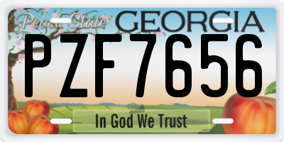 GA license plate PZF7656