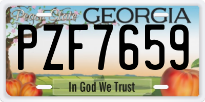 GA license plate PZF7659
