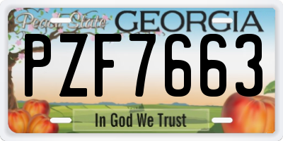 GA license plate PZF7663
