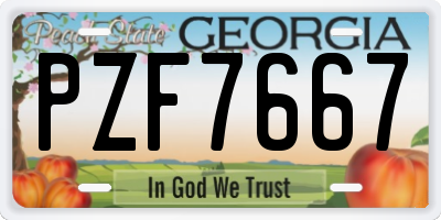 GA license plate PZF7667