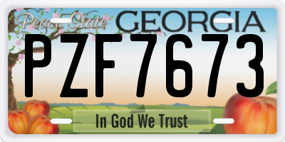 GA license plate PZF7673