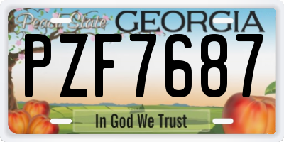 GA license plate PZF7687