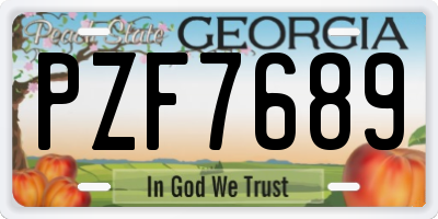 GA license plate PZF7689