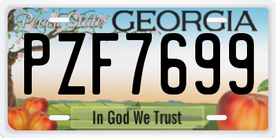 GA license plate PZF7699