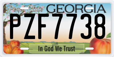GA license plate PZF7738