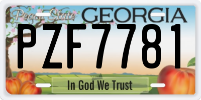 GA license plate PZF7781
