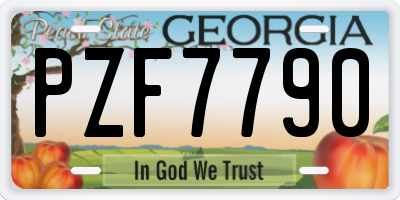 GA license plate PZF7790
