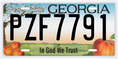 GA license plate PZF7791