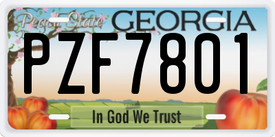 GA license plate PZF7801
