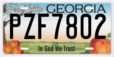 GA license plate PZF7802