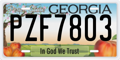 GA license plate PZF7803