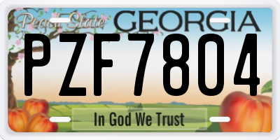 GA license plate PZF7804